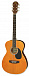 Акустическая гитара ARIA AFN-15 OR
