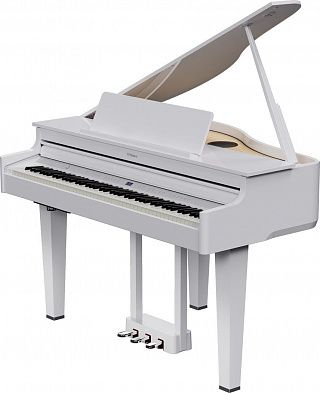 Цифровой рояль ROLAND GP 6 PW