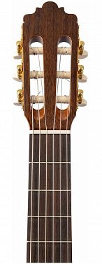 Классическая гитара Altamira N100+