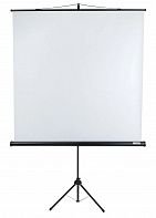 Экран Lumien Eco View LEV-100103