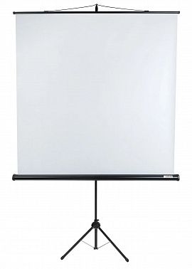 Экран Lumien Eco View LEV-100103