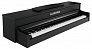 Цифровое пианино Aurora AU120-BK