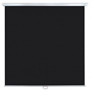 Экран Lumien Eco Picture LEP-100111