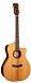 Электроакустика CORT Gold-A10-Cocobolo-WCASE-NAT