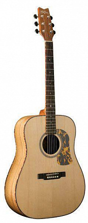 АКУСТИЧЕСКАЯ ГИТАРА WASHBURN D12S DAOKNAT