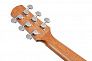 Акустическая гитара IBANEZ AAM50-OPN