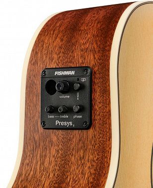 Электроакустика Root Note RGA300CE-NS