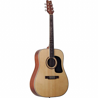 АКУСТИЧЕСКАЯ ГИТАРА WASHBURN D10S