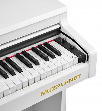 Цифровое пианино MUZPLANET YDP-145WH