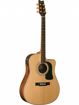 ЭЛЕКТРОАКУСТИЧЕСКАЯ ГИТАРА WASHBURN D10SCEDL