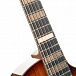 Электроакустика Cort Modern-Burst-WCASE-TSB