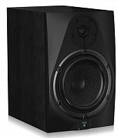 Студийный монитор ICON DT-8S