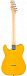 Электрогитара FENDER Standard Telecaster MN Butterscotch Blonde
