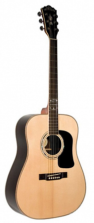 АКУСТИЧЕСКАЯ ГИТАРА WASHBURN WD125SNK