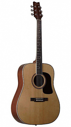АКУСТИЧЕСКАЯ ГИТАРА WASHBURN D10SNS