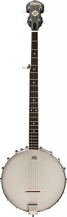 БАНДЖО WASHBURN B7