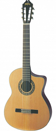 ЭЛЕКТРОАКУСТИЧЕСКАЯ ГИТАРА WASHBURN C104SCE