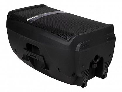 Акустическая система GEMINI AS-2115P