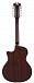 Электроакустика D'Angelico Premier Fulton LS Natural