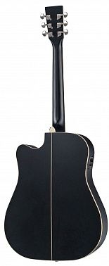 Электроакустика Root Note RD300CE-BK