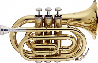 ТРУБА STAGG WS-TR245S
