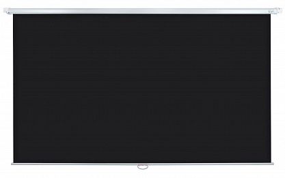 Экран Lumien Eco Picture LEP-100124