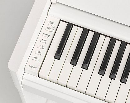 Цифровое пианино YAMAHA YDP-S55WH Arius