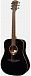 Акустическая система LAG T-118D BLK