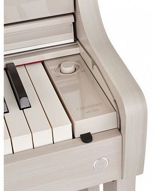 Цифровое пианино CASIO AP-750GB