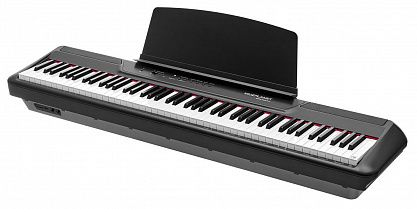 Цифровое пианино MUZPLANET P-45B