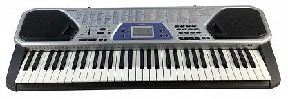 СИНТЕЗАТОР CASIO CTK-481
