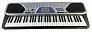СИНТЕЗАТОР CASIO CTK-481