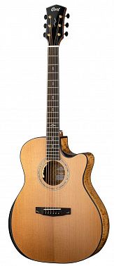 Электроакустика Cort Gold-Edge-WCASE-NAT