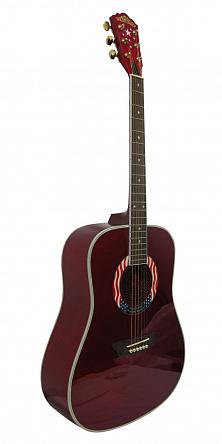 АКУСТИЧЕСКАЯ ГИТАРА WASHBURN D2001