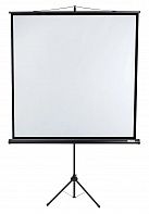 Экран Lumien Eco View LEV-100104