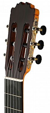 Классическая гитара Martinez MM12