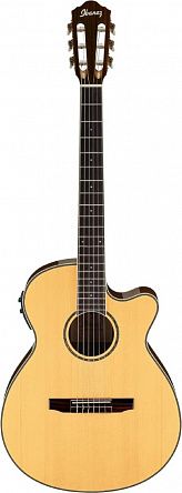 ЭЛЕКТРОАКУСТИКА IBANEZ AEG10NII-NT