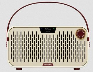 Комбоусилитель HOTONE PULZE JR WH