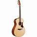 Акустическая гитара IBANEZ AAM50-OPN
