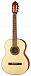 Классическая гитара Cort AC100DX-OP