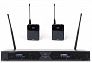 Радиосистема FBW P1R2 BODYPACK