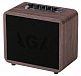 Гитарный комбо AGA GA-ONE