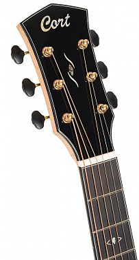 Электроакустика Cort Gold-Passion-WCASE-NAT