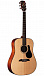 Акустическая гитара ALVAREZ RD8