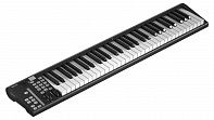 MIDI клавиатура Icon Artist 61X