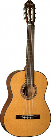 КЛАССИЧЕСКАЯ ГИТАРА WASHBURN C40