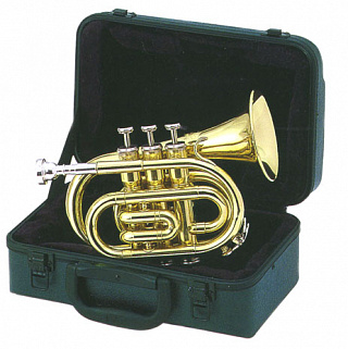 ТРУБА J.MICHAEL TR-350P