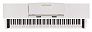 Цифровое пианино MUZPLANET YDP-145WH