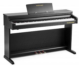 Цифровое пианино MUZPLANET YDP-145B