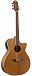 Электроакустика CRAFTER GAE-8/NC VVS